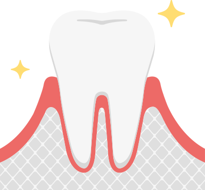 健康な歯周組織